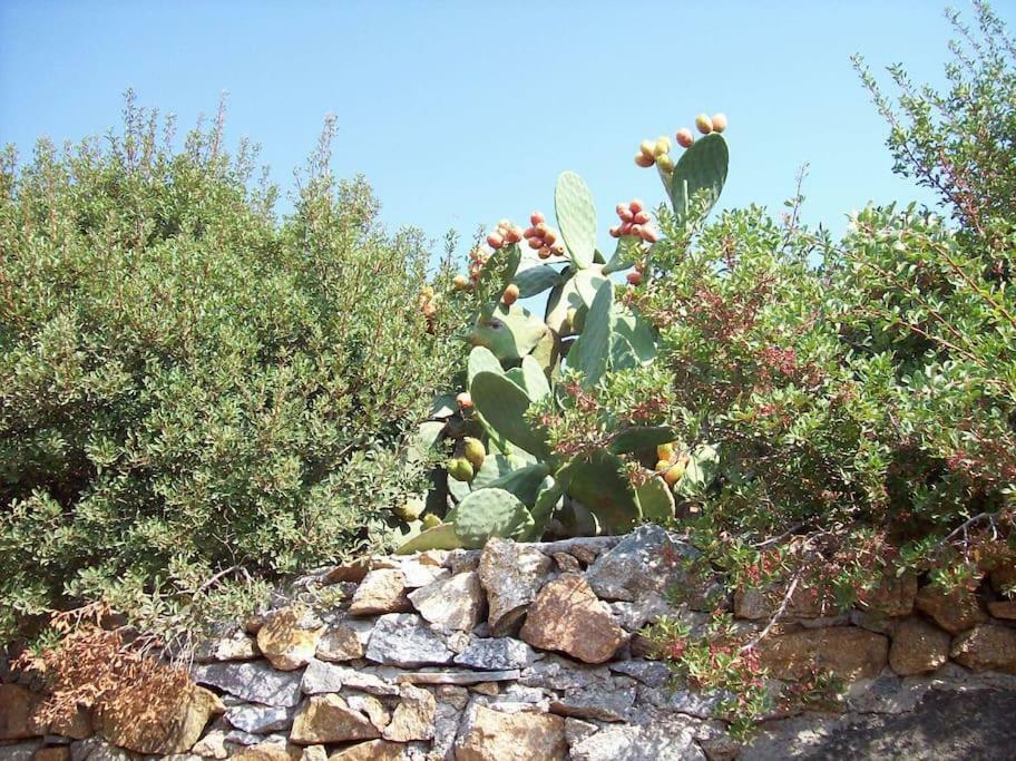 Sunny House With Amazing View For 4+2 Persons Villa Pláka Exterior foto